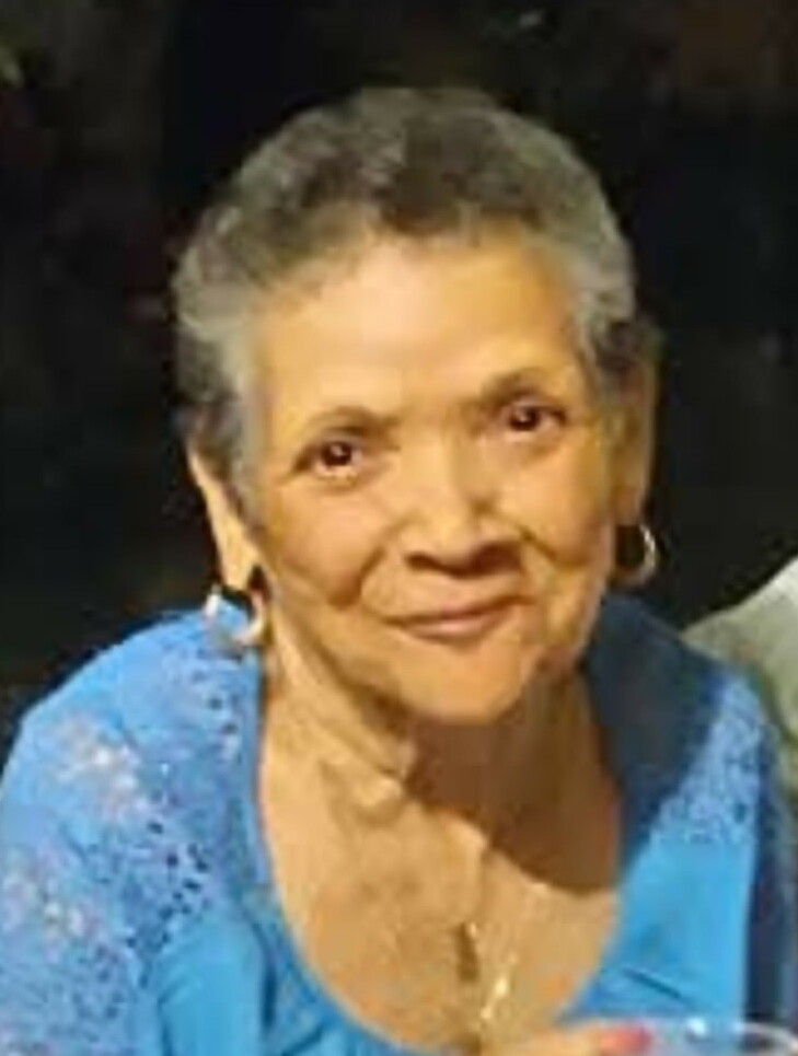 Nely  Reyes Salinas Obituary, Camden, NJ
